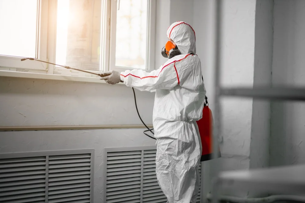 Professional mold remediation services in Zeeland, MI